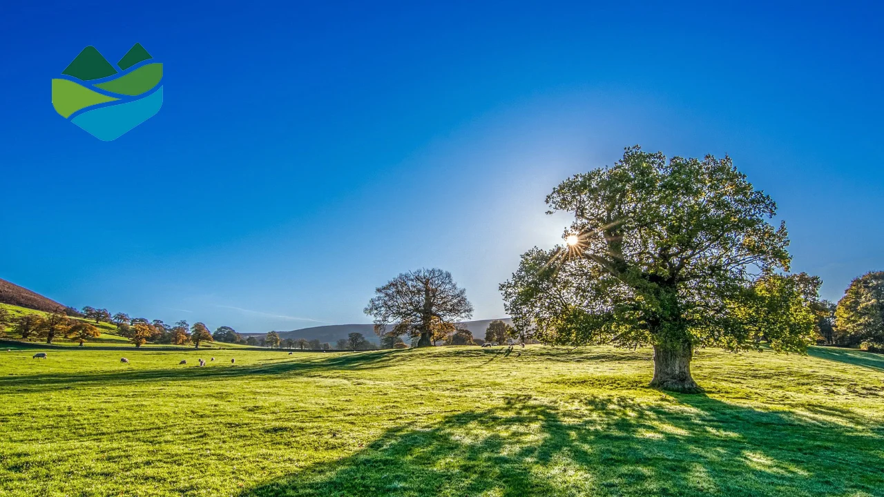County Down Rural Community Network