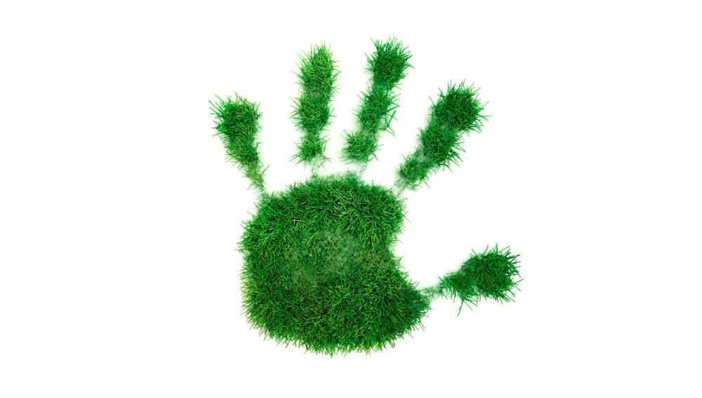 Greenfingers Gardening Club