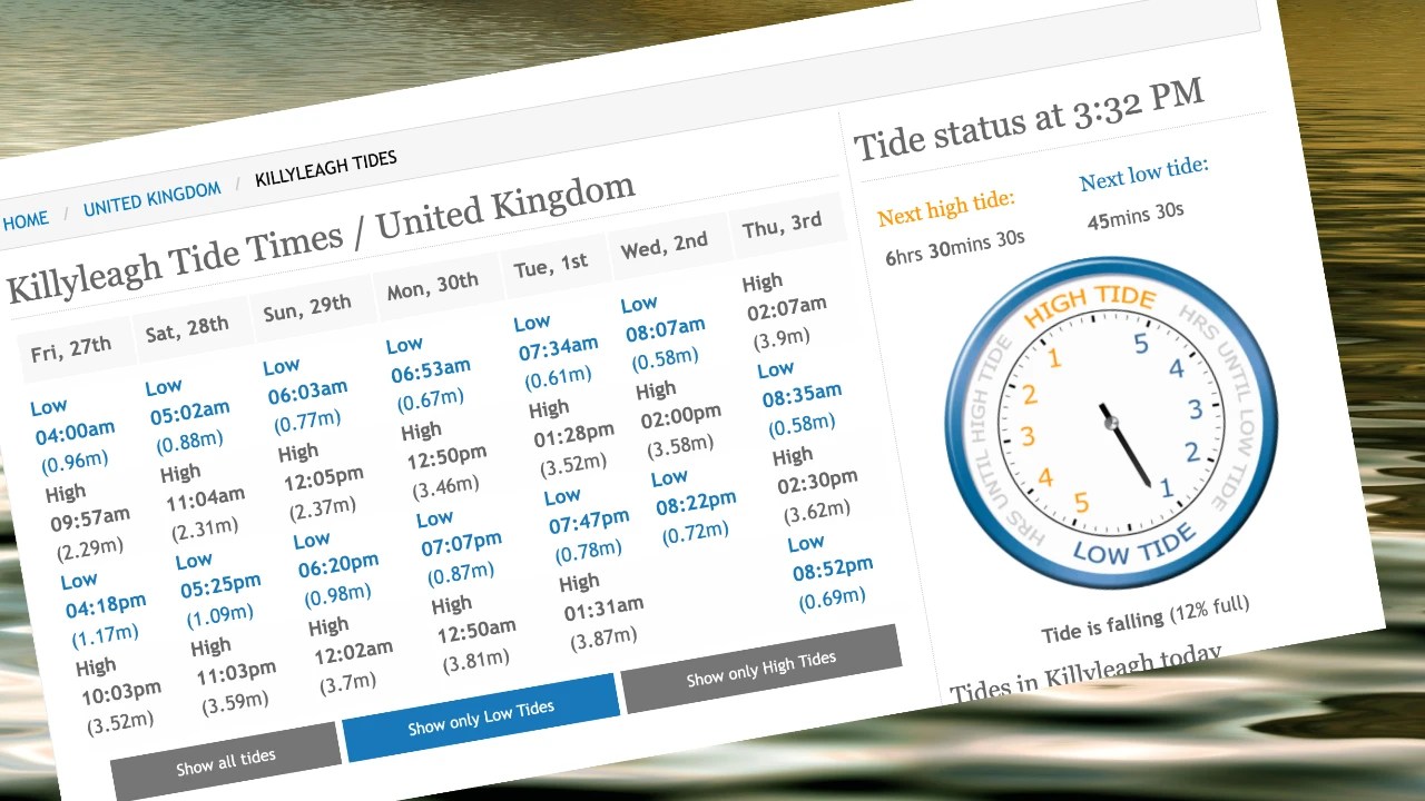 Killyleagh Strippers & Dippers